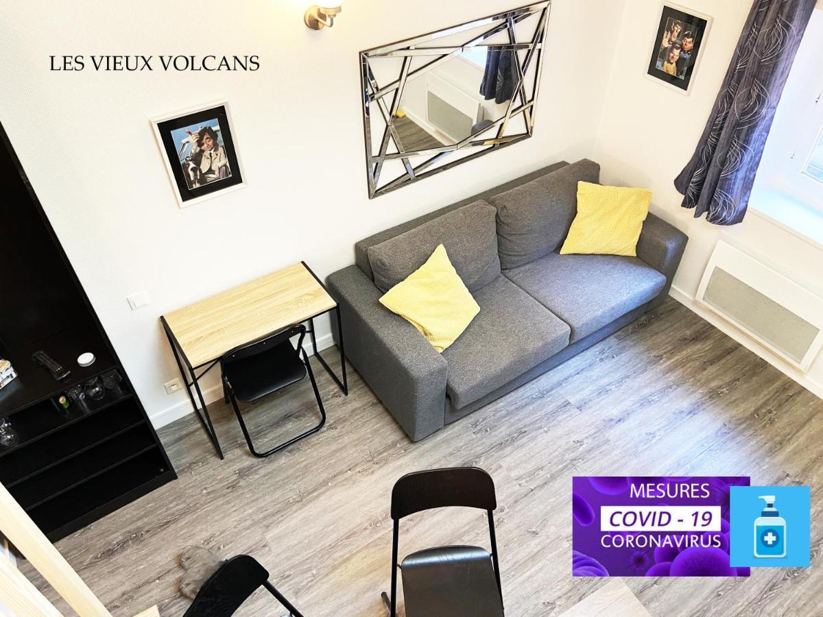 Apartament Vivez Sur Un Volcan, Vivez Clermont Ferrand Zewnętrze zdjęcie